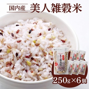 国内産 美人雑穀米 250g×6個 計1500g_雑穀米 国内産 250g × 6個 1回 美人雑穀米 雑穀 12種 ブレンド 混ぜて炊くだけ 冷めても美味しい 胚芽押麦 もち玄米 発芽 玄米 もち黒米 ハト麦 もち麦 もちきび 黒大豆 もちあわ 簡単 主食 おにぎり 弁当 ふっくら もちもち 〔Gr009〕