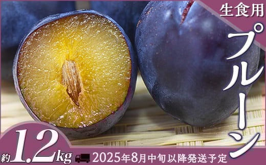 
            J0933 生食用プルーン約1.2kg【2025年8月中旬以降発送予定】
          