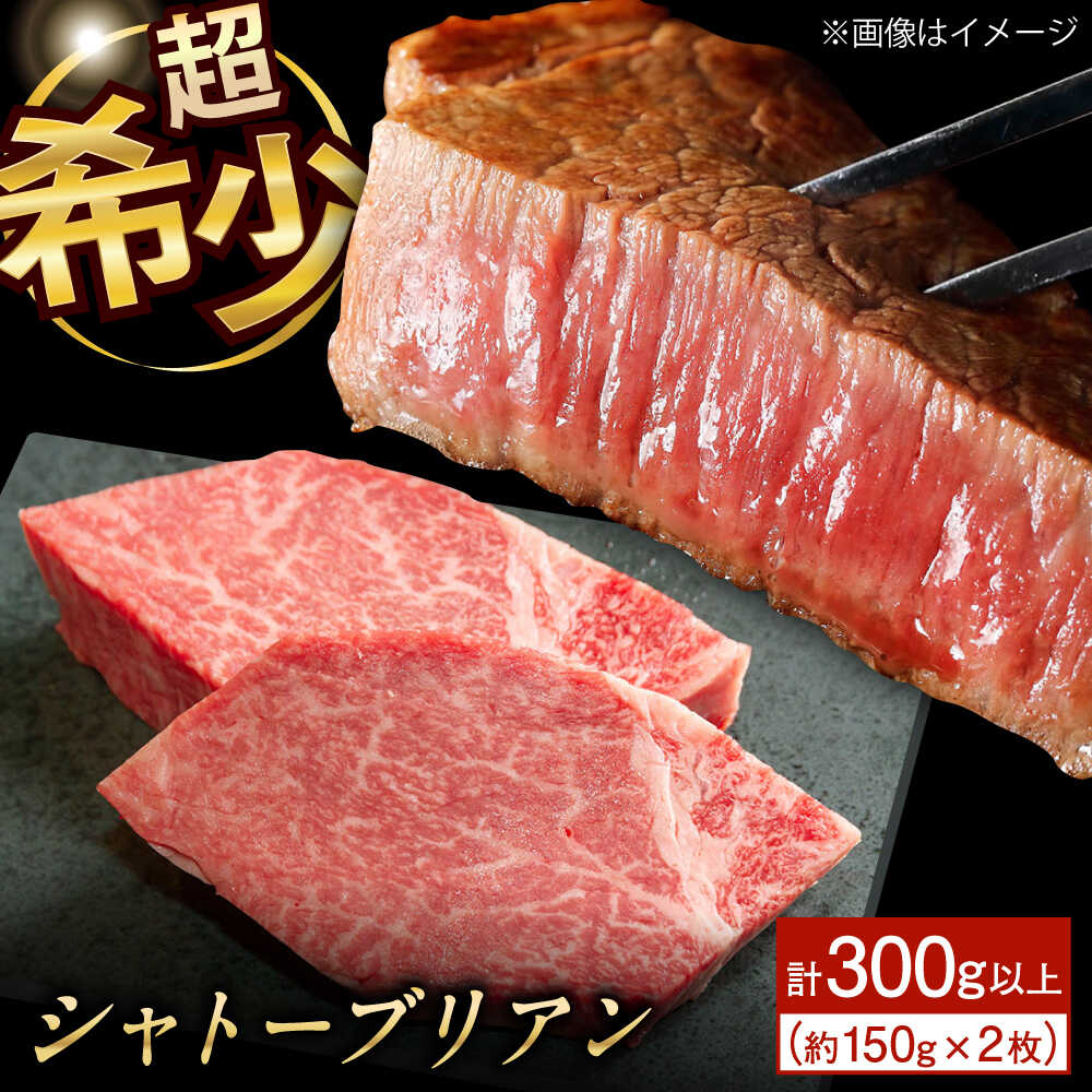【ふるさと納税】シャトーブリアン ステーキ 長崎和牛 計300g以上 (150g×2枚)【肉のマルシン】[QBN058] 32000円 3万円 台