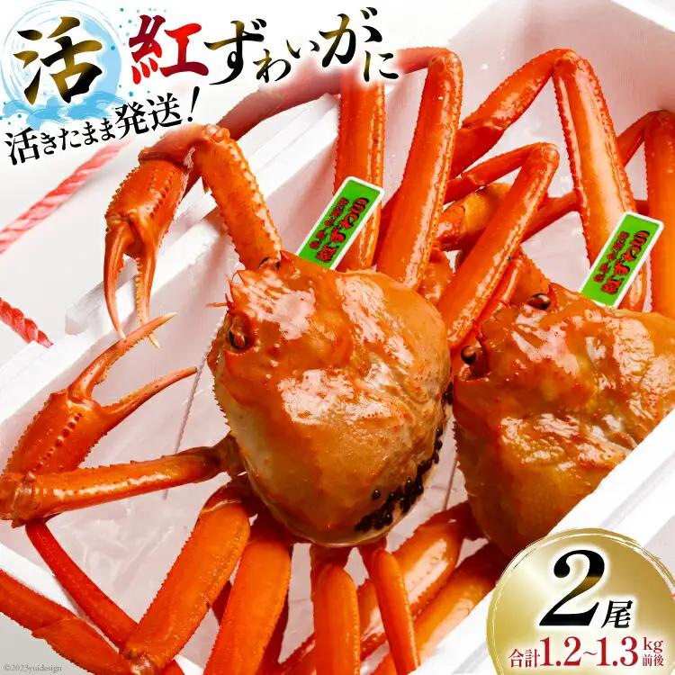 【能登半島 漁協直送】 活 紅ズワイガニ 2尾（中サイズ） 計1.2～1.3kg前後 [JF西海 石川県 志賀町 AM4217]