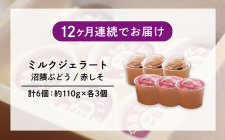 【全12回定期便】沼南ミルクジェラート 沼隈ぶどう&赤しそ 各3個 食べ比べセット アイス  ぶどう 赤しそ アイス アイスクリーム デザート スイーツ ご当地 広島県福山市/甚ごろう[BAEC048