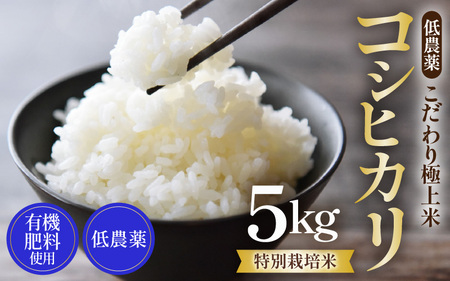 【先行予約】【令和8年産 新米】特別栽培米 コシヒカリ 5kg 精米 低農薬 《食味値85点以上！こだわり精米》 / 福井県 あわら 北陸 米 お米 人気 高品質 鮮度抜群 新米 ※2026年9月上旬より順次発送 [aw032-a015]