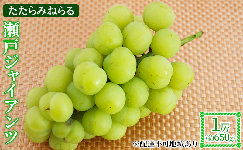 【2025年先行予約】 ぶどう 岡山県産 たたらみねらる 瀬戸ジャイアンツ 1房(約650g) 《2025年9月中旬-10月中旬頃出荷》 葡萄 ブドウ フルーツ 果物 スイーツ 数量限定 期間限定 岡山 里庄町