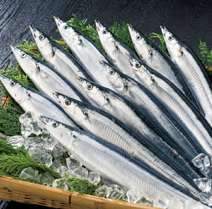 【ふるさと納税】 [北海道根室産]冷凍生サンマ20尾（真空パック5尾入×4P） A-71050