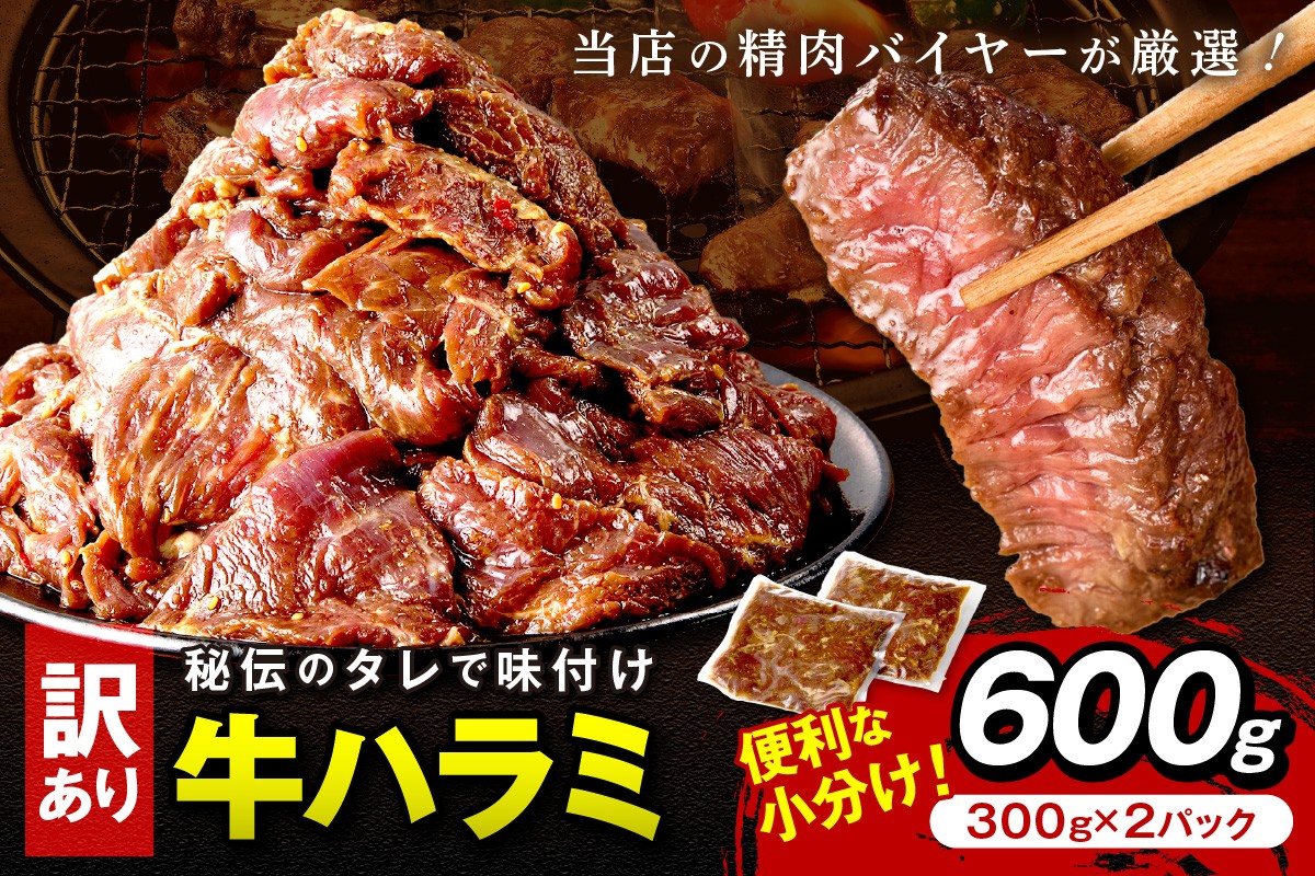 
                  【訳あり】牛ハラミ（サガリ） 秘伝のタレ込み 味付け肉 600g（300g×2パック） ＜牛肉 訳あり はらみ さがり 味付け肉 小分け 個包装 牛肉 タレ漬け 手作り 焼肉 肉 牛ハラミ わけあり 訳有り ワケアリ 焼肉 日用品＞　YK00677_09e
                