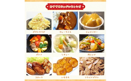 <早期予約>北海道ニセコ町 訳ありじゃがいも北あかり10kg【2025年産】【3200901】