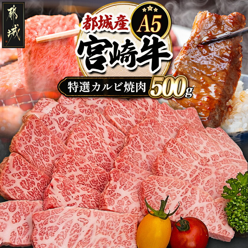 【ふるさと納税】都城産宮崎牛特選カルビ焼肉(A5) - 牛肉 A5等級の宮崎牛 特選カルビ焼肉(500g) A5ランク 最高級の国産黒毛和牛 最上級の霜降り牛肉 焼き肉/バーベキュー/鉄板焼きにどうぞ 送料無料 AD-A0-003【宮崎県都城市】