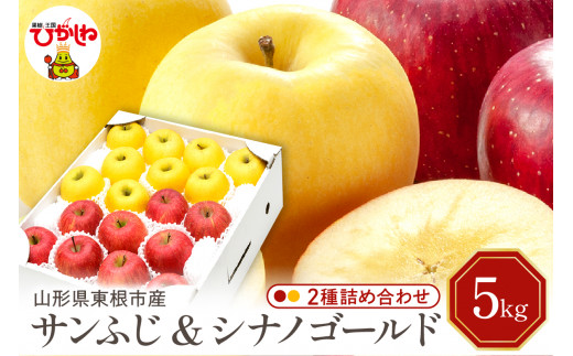 【2026年産】りんご サンふじ&シナノゴールド 詰め合わせ 5kg 秀品 化粧箱入り 山形県 東根市 東根農産センター提供 hi027-209-r8