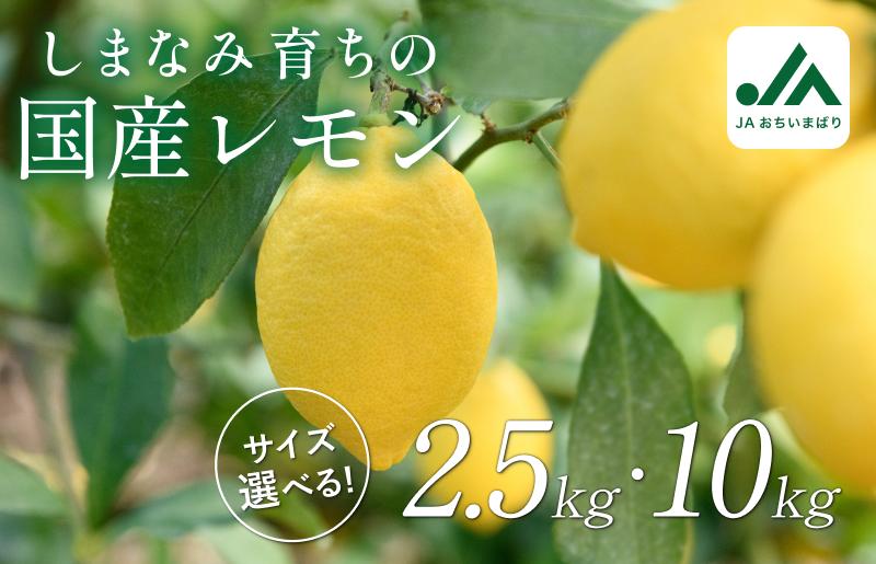 
                  【先行予約】レモン 約2.5kg・10kg【KC00790】2026年12月初旬～2027年2月末に順次発送予定 たっぷり 大容量 ふるさと納税 愛媛県産 今治市 先行予約 しまなみ レモン 名産品 人気商品 柑橘 フルーツ 料理 JA 檸檬 れもん
                