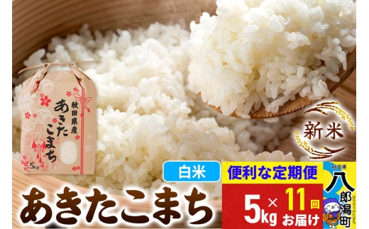 《新米》《定期便11ヶ月》あきたこまち 5kg【白米】 令和8年産 秋田県産 こまちライン [新米 こまちライン あきたこまち ブランド米 お米 白米 精米 無洗米 米どころ 秋田 秋田県産]