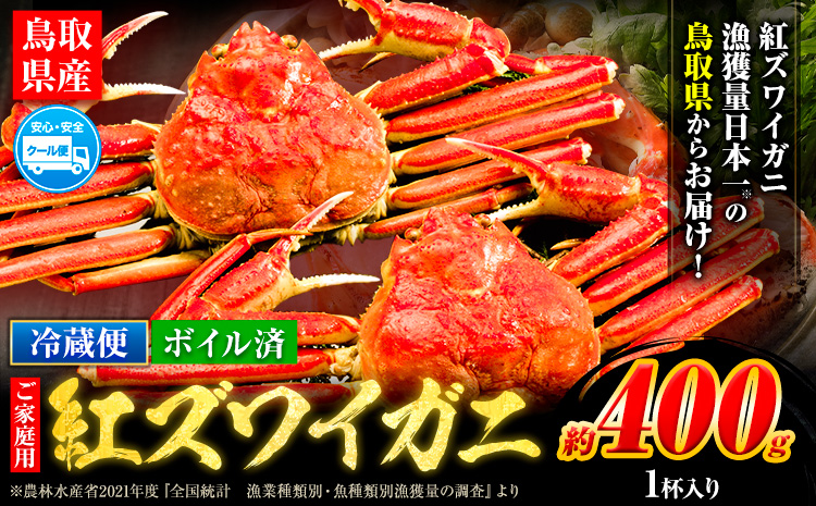＼12/23決済完了分まで年内配送／訳あり カニ 紅ズワイガニ 400g(1枚) 《9月中旬-6月中旬頃に出荷予定》鳥取県 八頭町 送料無料 蟹 かに 姿 鍋 ズワイガニ ベニズワイガニ ズワイ蟹 ボイル 冷蔵便【配送不可地域あり】