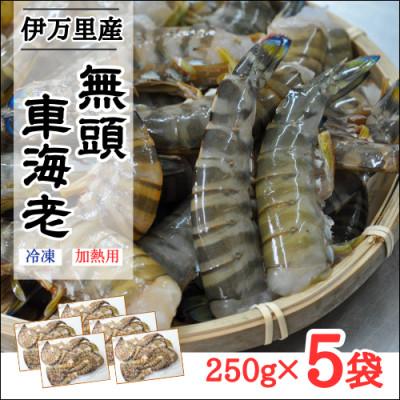 ふるさと納税 伊万里市 伊万里産【無頭】冷凍車海老(加熱用)250g×5pc
