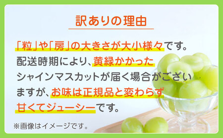 【先行予約】【数量限定】【訳あり】シャインマスカット 約2kg(4～5房)【合同会社 社方園】[ZBZ032]