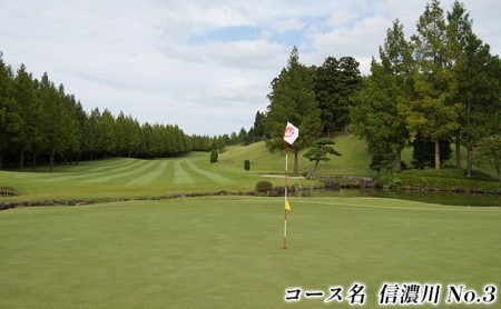 湯田上カントリークラブ利用補助券＜4枚＞ ゴルフ場利用権 ゴルフプレー スポーツ 新潟県田上町