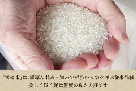 【令和7年産】新潟産コシヒカリ「雪椿米」特別栽培米 精米5kg 白米真空パック
