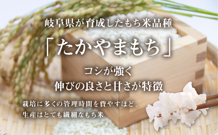 令和8年産 もち米 6kg たかやまもち米 米 もち米 こめ ごはん 白米 岐阜県産 本巣市 お米 精米 おにぎり 弁当 やわらかい もちもち 餅 旨味 甘い 和食 寿司 アグリード [mt556] 