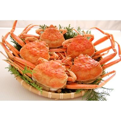 ふるさと納税 新温泉町 松葉ガニの本場　訳あり・釜茹でセコガニ(冷蔵)中サイズ　5枚　兵庫県新温泉町　
