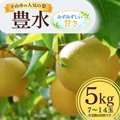 
                  ＜5kg＞栃木県小山市産　豊水 梨【1617299】
                
