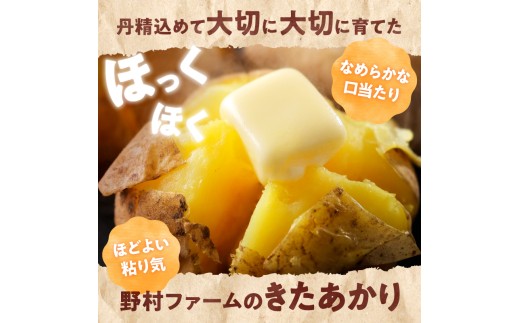 2026年9月中旬～発送 北海道産 じゃがいも きたあかり 10kg 別名「栗じゃが」 甘くておいしい ジャガイモ 芋 いも 秋野菜 季節の野菜 直送農場 北海道雨竜町産 サイズ混同 野菜 U012-