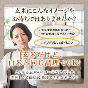米 令和7年産 金のいぶき 5kg 有機JAS 玄米