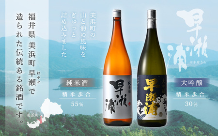 入手困難【早瀬浦】大吟醸 1800ml × 1本 ＆ 純米酒 1800ml × 2本 セット【飲み比べ 日本酒 地酒 福井 美浜 早瀬 フルーティ 男酒 硬水 ミネラル 希少 ご褒美 家飲み】[m16