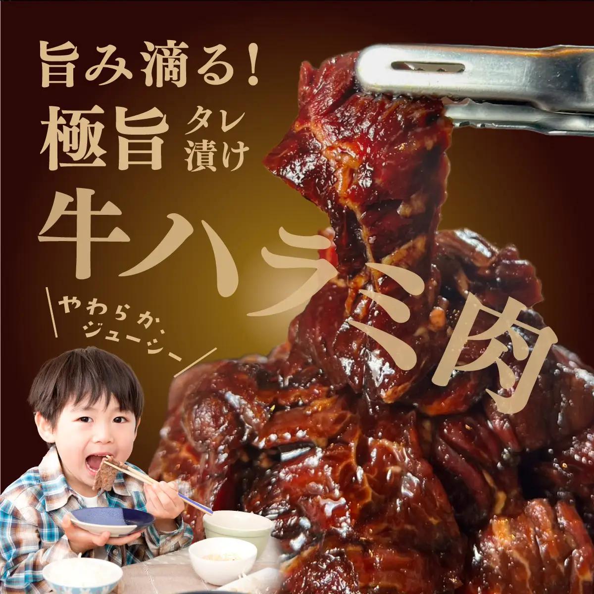 定期便《3ヶ月連続お届け》厳選 秘伝のタレ漬け ハラミ 900g（300g×3パック）　[058-t03-a023]