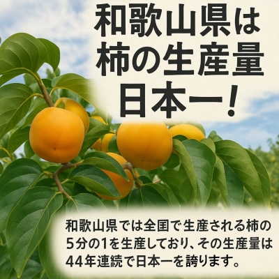 柳フルーツ園の干し柿セット 約5kg