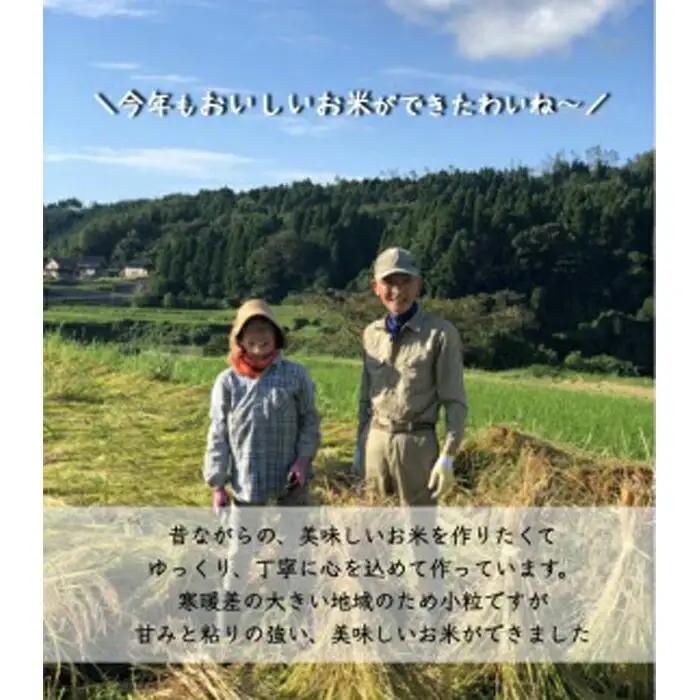 （毎月／全5回）【玄米】定期便　特別栽培米 石川県産こしひかり棚田米”まっきゃま米”