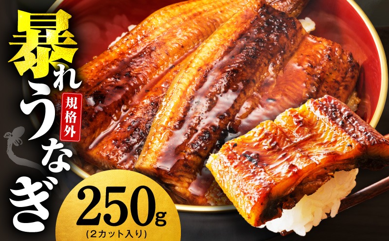 G3973 【規格外】うなぎ 暴れ盛り 250g（2カット）【お試し 鰻 かば焼き 簡単調理 訳あり サイズ不揃い 人気 惣菜 うな重 うな丼 ひつまぶし】