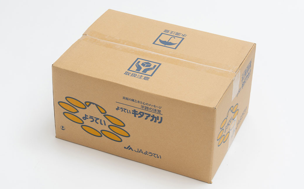 じゃがいも キタアカリ Lサイズ 約10kg 1箱 （JA）