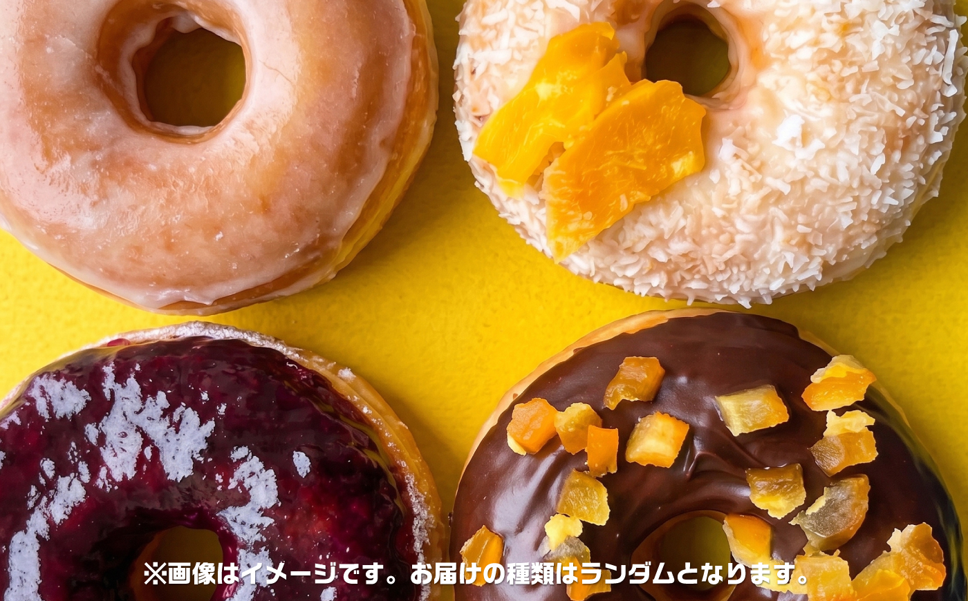 TOPOFF DONUTS ドーナツ詰め合わせ 10点セット【TOPOFF DONUTS】 [AKJB001]