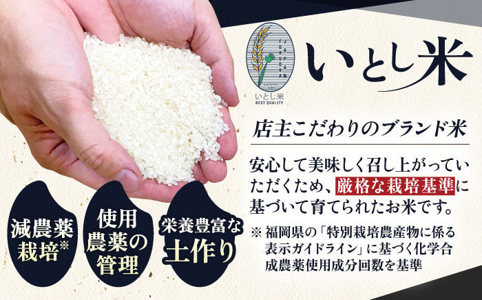  いとし米 厳選ブレンド 10kg (糸島産) 糸島市 / 三島商店 [AIM046] 米 白米