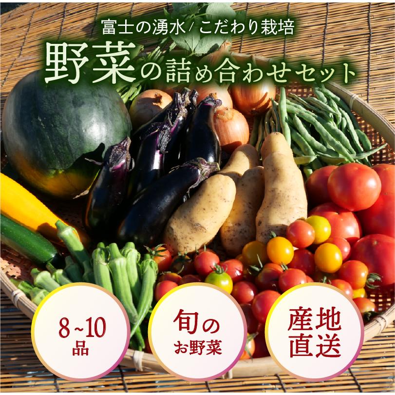 お野菜 8〜10品 詰め合わせセット 富士山の湧水でつくる 四季の美味しい 旬 野菜
