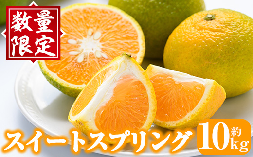 ＜先行予約受付中！2026年12月下旬以降順次発送予定＞秀品！スイートスプリング(約10kg) 国産 鹿児島県産 阿久根市産 柑橘類 みかん ミカン 果物 フルーツ デザート スイスプ 数量限定 期間限定 贈答用 ギフト【有限会社まなべみかん園】akn034-06