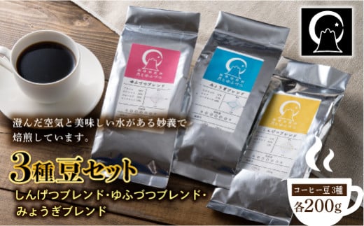
コーヒー 3種豆セット（200g×3） F20E-499
