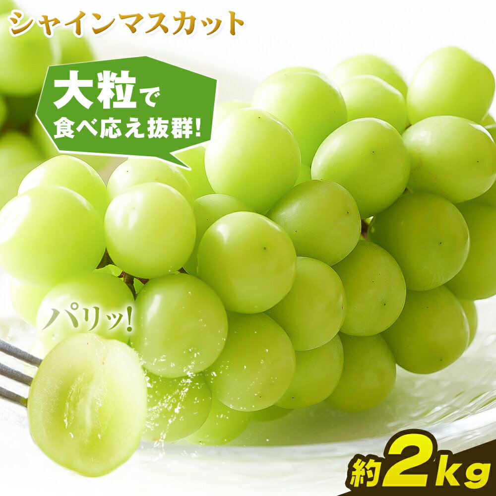 【ふるさと納税】岡山県産 シャインマスカット 約2kg 矢掛Grape Fairies《9月中旬-10月末頃出荷》岡山県 矢掛町 葡萄 マスカット 果物 スイーツ フルーツ デザート