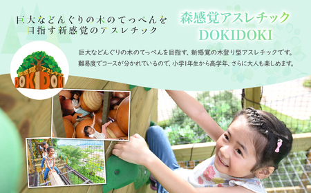 モビリティリゾートもてぎ 入場+パークパスポート（幼児1名分） | リゾート アスレチック アスレチック