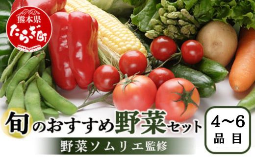 野菜ソムリエ 監修 旬のおすすめ 野菜 セット 4〜6種類 (1〜2名様向け) 野菜 獲れたて 新鮮 直送 旬 熊本県 多良木町 024-0801