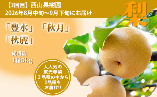 【フルーツ定期便3回】2026年発送 いちご・メロン・梨【各 2品種】食べ比べ 3回配送 数量限定 多良木町産 東光寺梨 西山果樹園 木村メロン園 坂下農園 イチゴフルーツ 果物 名産 熊本 多良木町