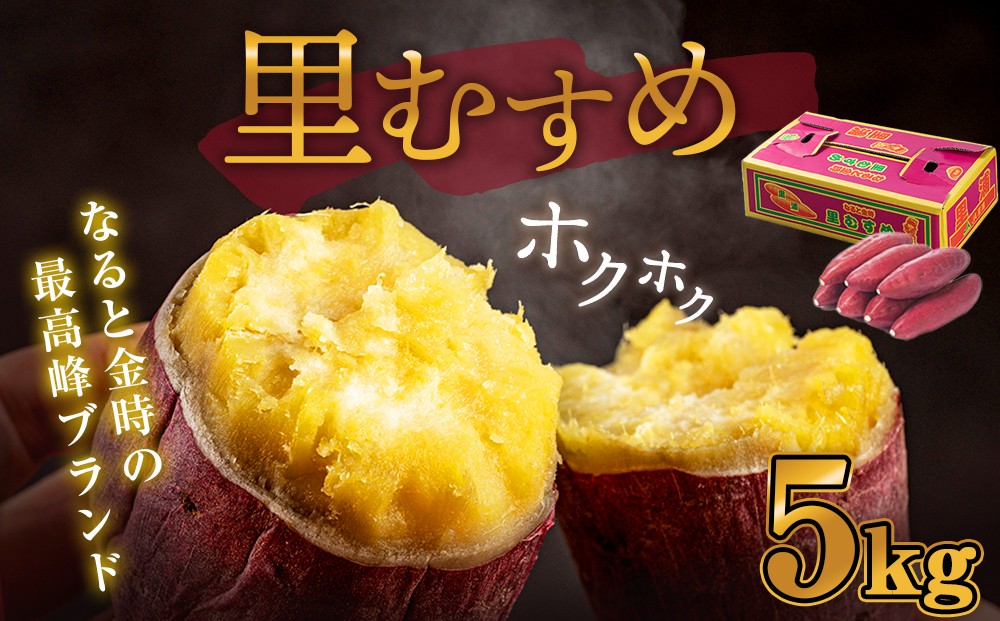 
                  【予約受付中・2026年9月下旬頃より順次発送】なると金時 （ 里むすめ ） 5kg さつまいも 鳴門金時 熟成 国産 スイーツ 焼き芋 焼芋 焼いも 干し芋 ギフト 贈り物 お土産 サツマイモ 里娘
                