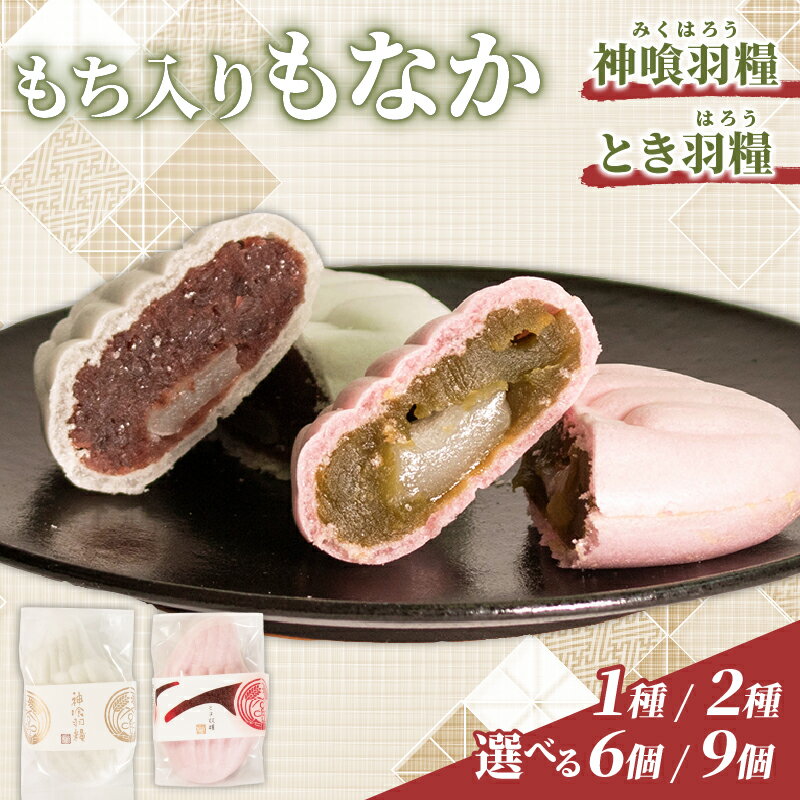 【ふるさと納税】 最中 求肥入り 9個 6個 選べる組み合わせ 和菓子 菓子 お菓子 おかし もなか モナカ 求肥 羽二重 抹茶 まっちゃ 抹茶餡 あんこ 和菓子セット 詰め合わせ 贈答 贈り物 土産 石川 能登 羽咋 トキ とき 放鳥 の 地 神喰羽糧 とき羽糧