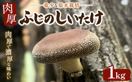 希少な原木栽培 肉厚 ふじのしいたけ 1kg ※2025年12月上旬～2026年4月上旬頃までに順次発送予定