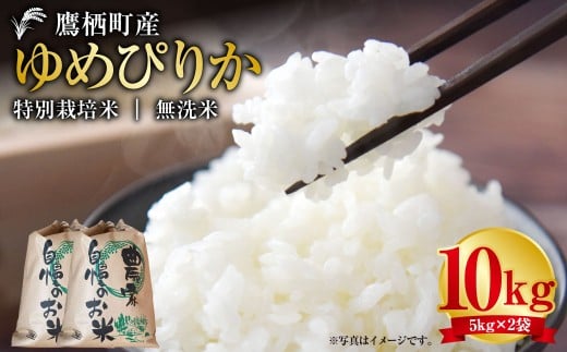【令和7年産】 ゆめぴりか （無洗米） 5kg×2袋 北海道 鷹栖町 たかすタロファーム 米 コメ こめ ご飯 白米 お米 ゆめぴりか 無洗米