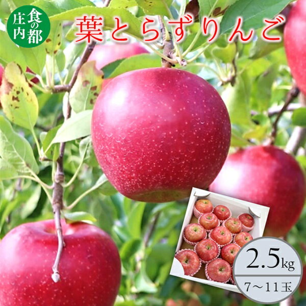 【ふるさと納税】食の都庄内　葉とらず赤りんご　約2.5kg　※10月中旬頃から順次配送（有限会社庄内旬青果）