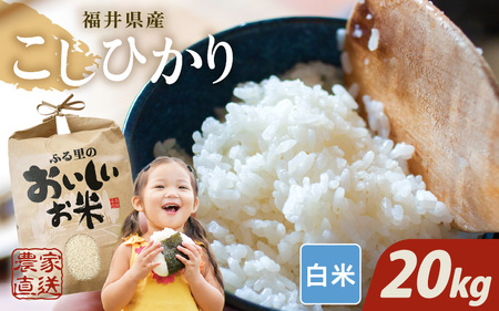 【先行予約】【令和8年産・新米】【白米10kg×2袋】福井県産 コシヒカリ20kg 【2026年10月上旬以降順次発送】 [D-8915_01]