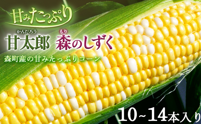 先行予約 とうもろこし 10～14本入り 田中農園 甘い 野菜 夏野菜 旬 夏 高糖度 産地直送 旬の野菜 季節の野菜 おやつ コーン 森のとうもろこし ロイシーコーン 甘太郎 先行 予約 2025 
