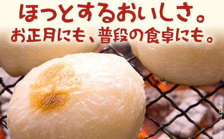 白もち 杵つきもち 20個 1kg  11月上旬頃より順次出荷予定 自家製米 ひよくもち米 杵つき 丸餅 お雑煮 おしるこ 焼き餅 焼きもち ぜんざい 福岡県 福岡 九州 グルメ お取り寄せ