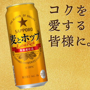 T0049-1709　【定期便9回】サッポロ麦とホップ500ml×1箱（24本）【定期便】