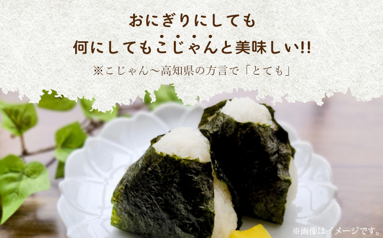 愛情注いで育てたコシヒカリの新米3kg - こしひかり お米 白米 精米 ご飯 ごはん 株式会社都築企画 高知県 香南市 td-0003