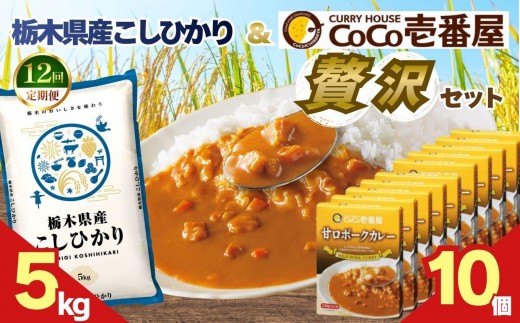 【定期便12回】ココイチ 甘口ポークカレー10個 &コシヒカリ5kgの贅沢セット